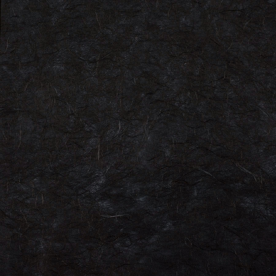 Rotolo Carta Riso Nero