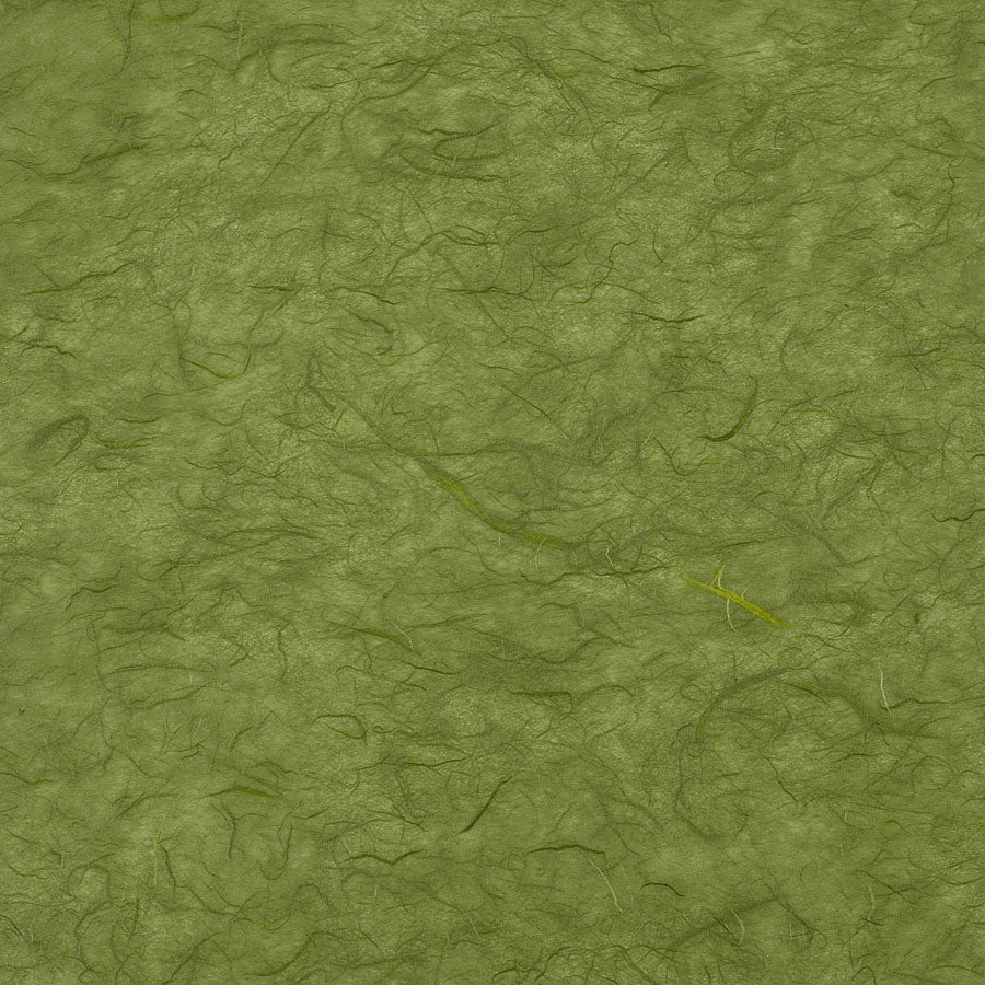 Rotolo Carta Riso Verde Muschio