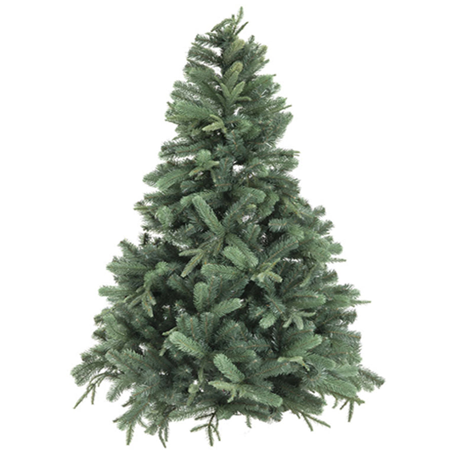 Abete Kansas da 300 cm