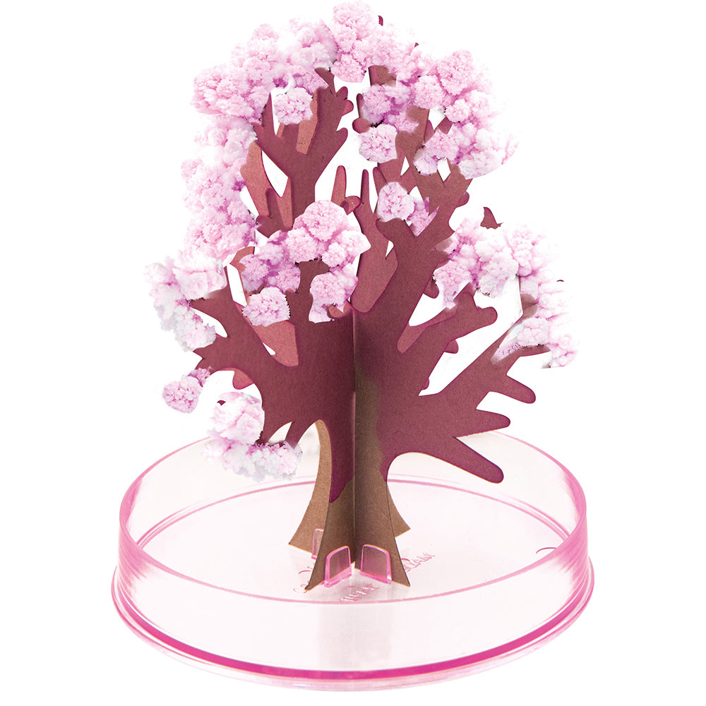 Albero di Ciliegio Magico