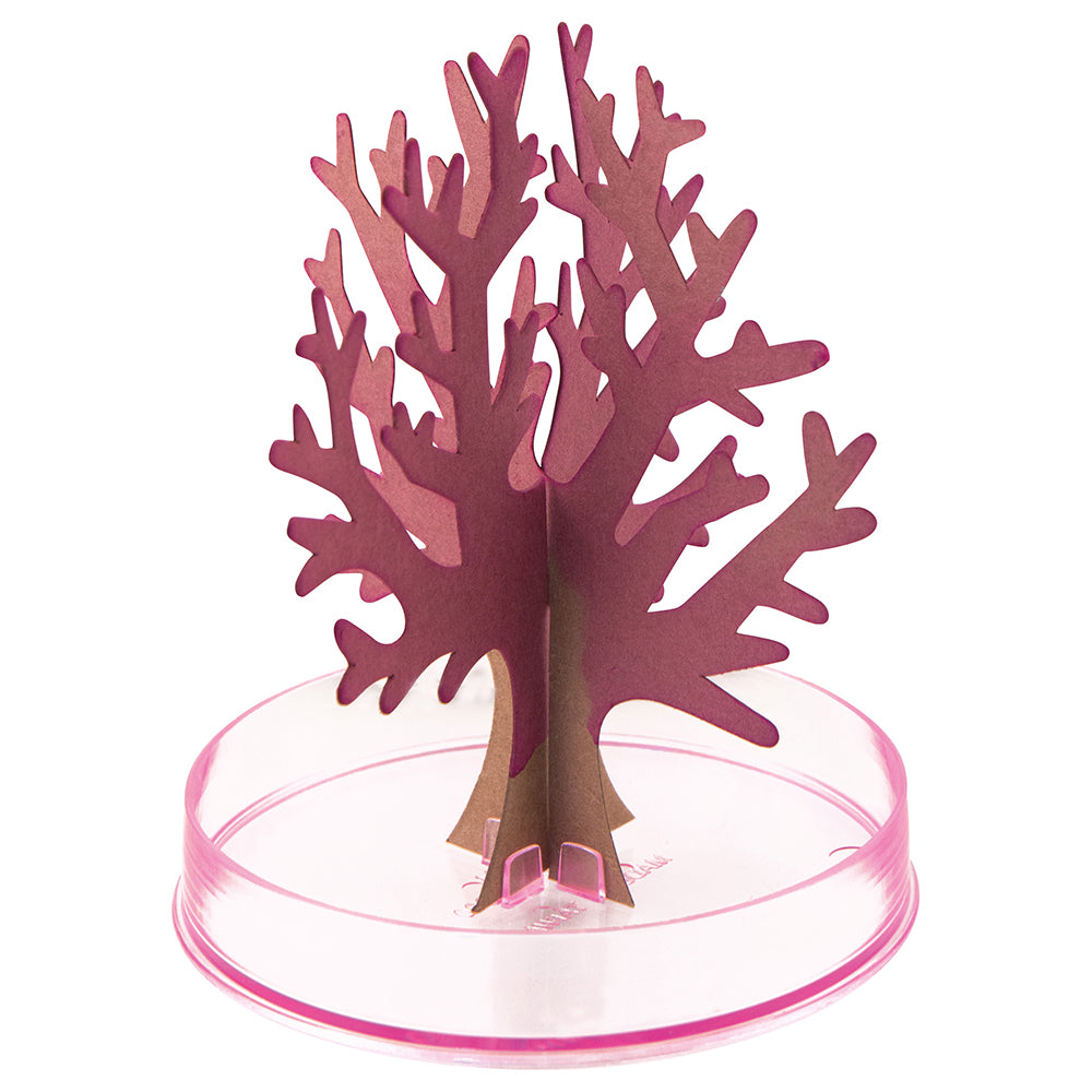 Albero di Ciliegio Magico